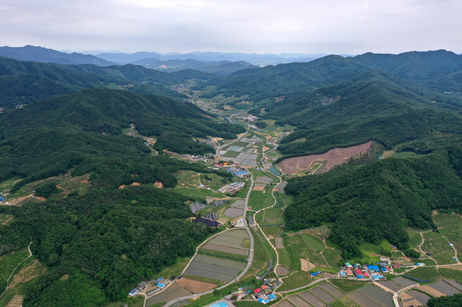 2022년 선도 산림경영단지 공모 결과 발표