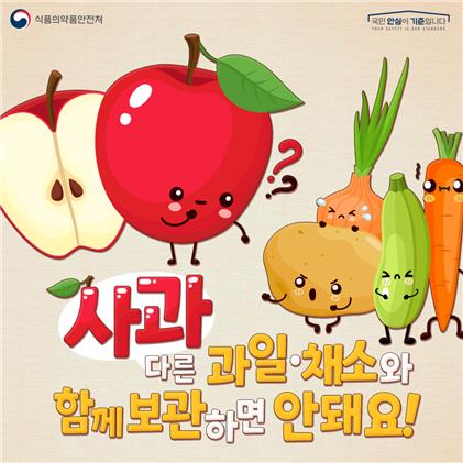 사과, 왜 다른 과일과 함께 보관하면 안 될까요?