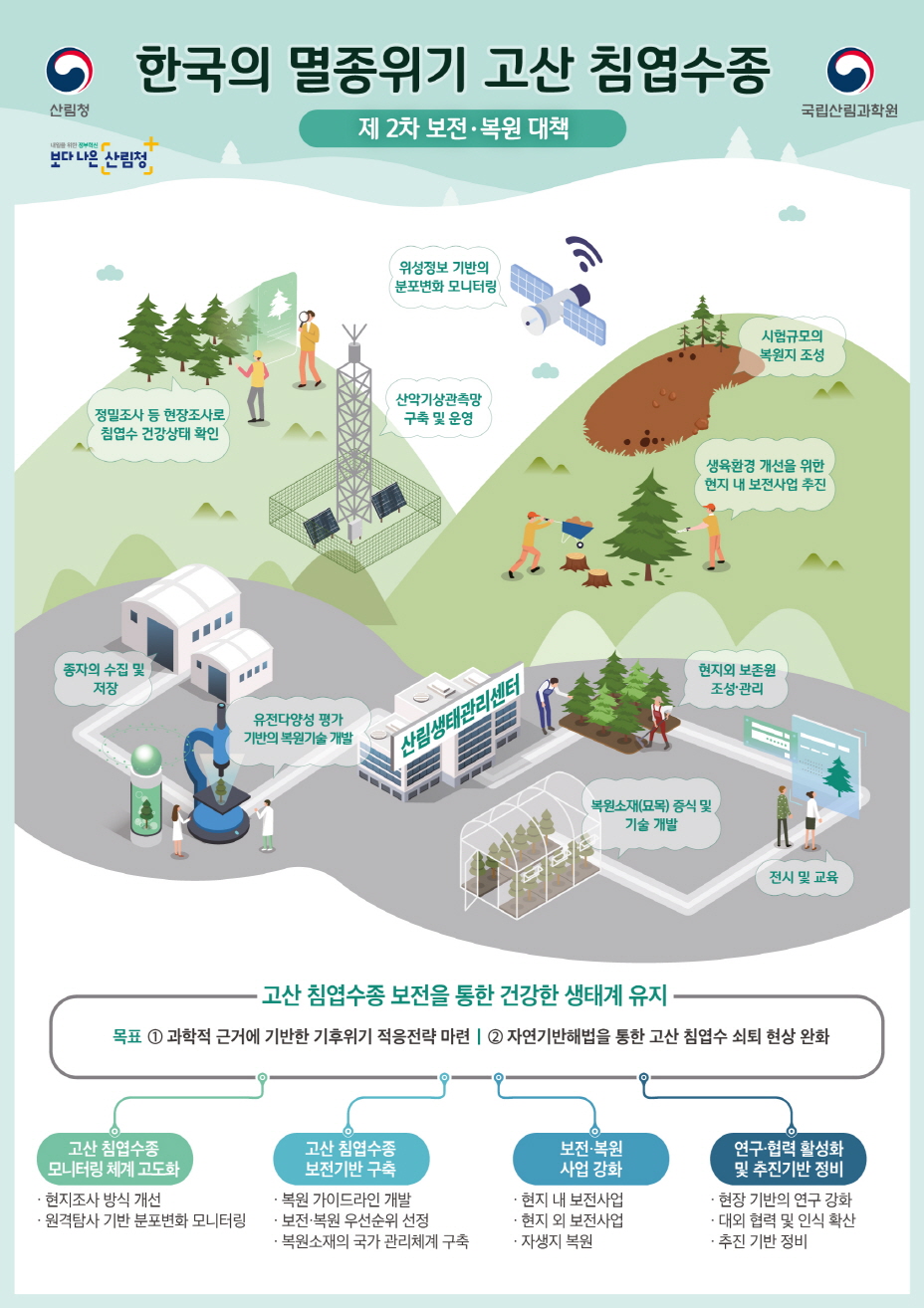 구상나무 등 한국 고유 침엽수종, 멸종위기에서 구해낸다.